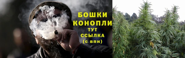 круглые Бородино