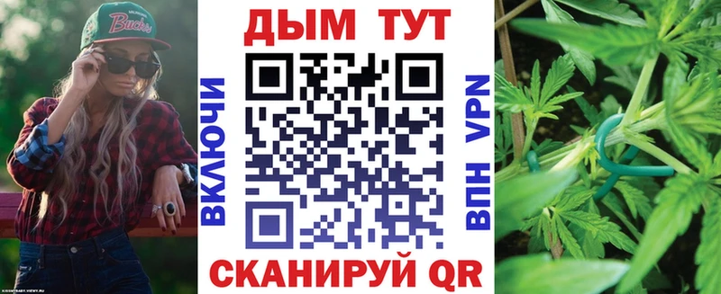 Бошки марихуана конопля  где купить наркотик  Северобайкальск 